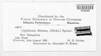 Image Associated With the Occurence